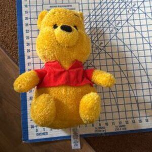 Pooh From Disneyland France